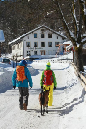 Отель Gasthof Fallmühle, Пфронтен